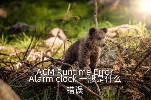 ACM Runtime ErrorAlarm clock 一般是什么錯(cuò)誤
