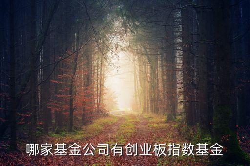 什么是中創(chuàng)400指數(shù)，基金里頭講到的 中創(chuàng)400 和 中小板300 有什么區(qū)別前者
