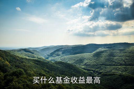 什么基金收益最高，有什么收益率高一些的基金