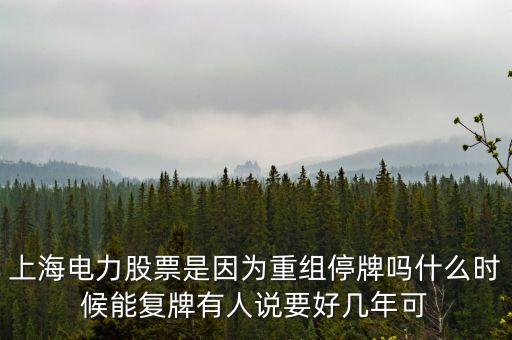 上海電氣什么時(shí)間復(fù)牌，上海電力股票是因?yàn)橹亟M停牌嗎什么時(shí)候能復(fù)牌有人說要好幾年可