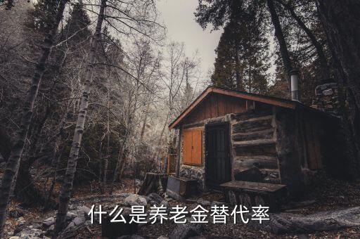社保替代率是什么，替代率是指勞動(dòng)者退休時(shí)的養(yǎng)老金領(lǐng)取水平與退休前工資收入水平之間