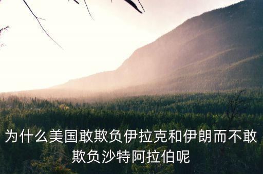 為什么美國敢欺負伊拉克和伊朗而不敢欺負沙特阿拉伯呢
