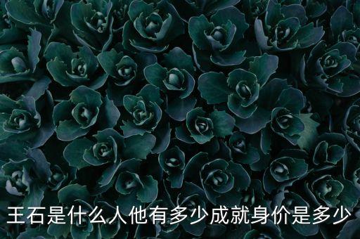 王石是什么人他有多少成就身價是多少