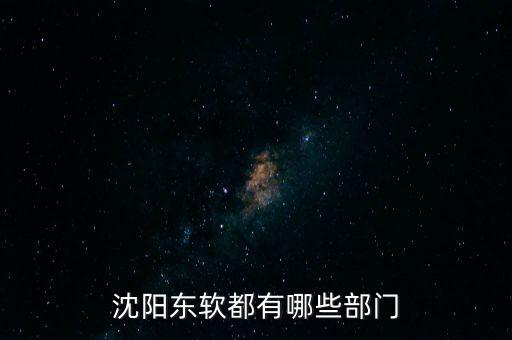 沈陽(yáng)東軟erp事業(yè)部做什么，東軟軟件產(chǎn)品部