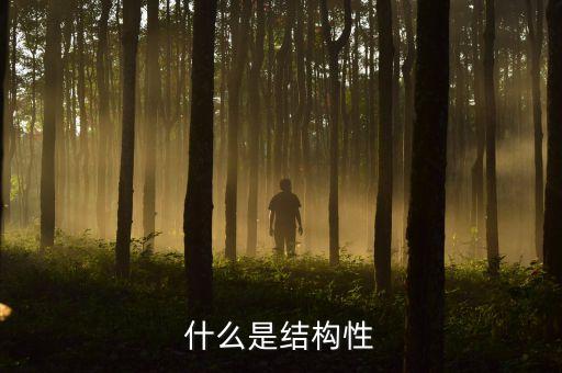 什么是結(jié)構(gòu)性