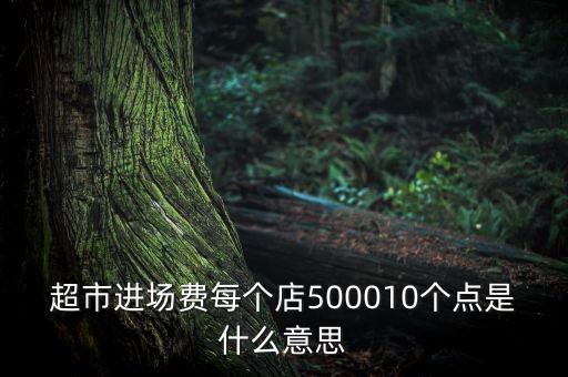 進場費是什么意思，超市進場費每個店500010個點是什么意思