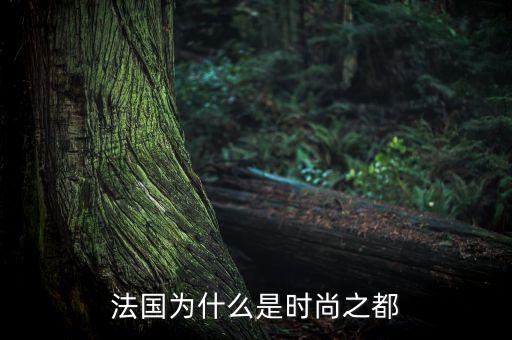 法國為什么時尚，法國為什么是時尚之都