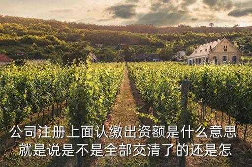 公司注冊(cè)上面認(rèn)繳出資額是什么意思 就是說是不是全部交清了的還是怎