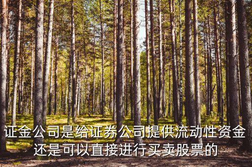 證金是什么公司，我國的證券金融公司有哪些其特點是什么