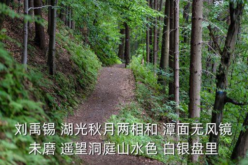 君山股份是做什么，劉禹錫 湖光秋月兩相和 潭面無(wú)風(fēng)鏡未磨 遙望洞庭山水色 白銀盤里
