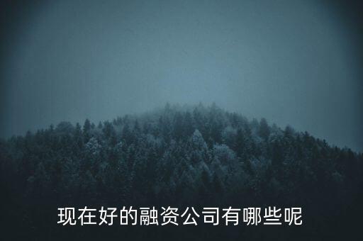 融資什么公司，什么要的公司可以融資