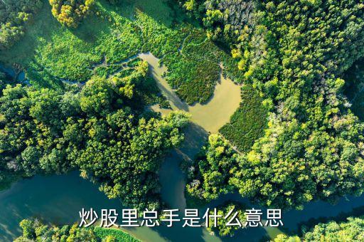 股票中的總手是什么意思，股票中的總手什么意思
