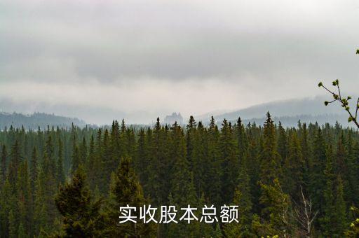 股本總額是什么，資本總額的含義