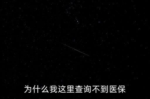為什么我這里查詢不到醫(yī)保