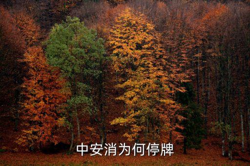 中安消為何停牌