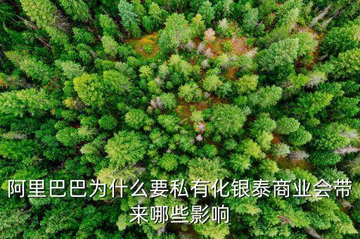 阿里巴巴為什么要私有化銀泰商業(yè)會(huì)帶來(lái)哪些影響