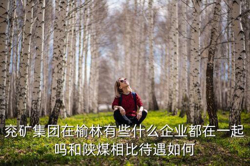兗州煤業(yè)公司經(jīng)營什么，兗礦集團(tuán)在榆林有些什么企業(yè)都在一起嗎和陜煤相比待遇如何