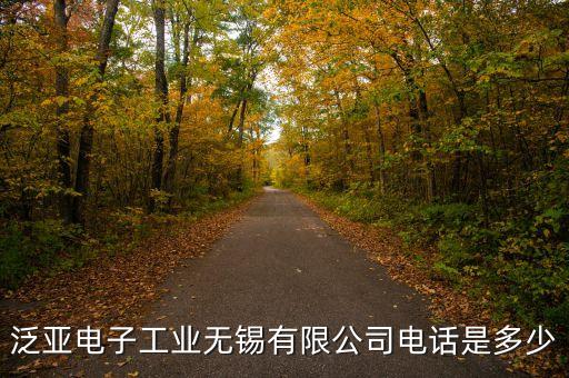 江蘇泛亞老總叫什么，泛亞董事副總裁張子諾的情況