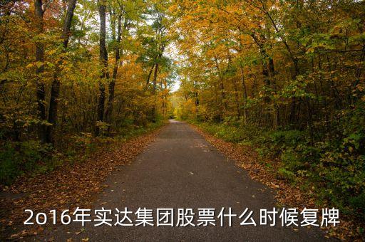 2o16年實(shí)達(dá)集團(tuán)股票什么時候復(fù)牌