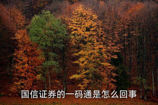 國信證券的一碼通是怎么回事