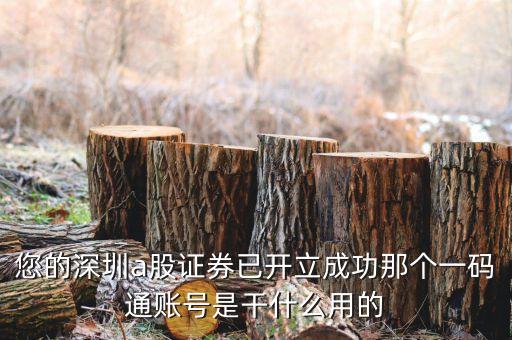 證券一碼通是什么意思，您的深圳a股證券已開立成功那個(gè)一碼通賬號(hào)是干什么用的