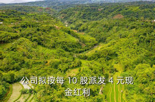 股票10派4是什么意思，2015年1至12月中成股份分配預(yù)案10派4是什么意思