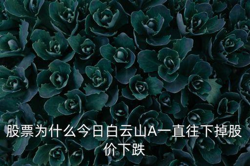 白云山a為什么退市，白云山A被廣藥完全收購了現(xiàn)在白云山終止上市了以前白云山股東