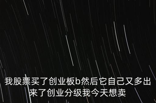 創(chuàng)業(yè)分級(jí)是什么意思，前段時(shí)間買了一些創(chuàng)業(yè)板B現(xiàn)在價(jià)格跌了一半但是多出了一部分創(chuàng)