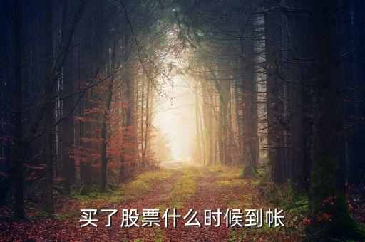 什么時候看到炒股錢，買完股票多長時間帳戶能看到