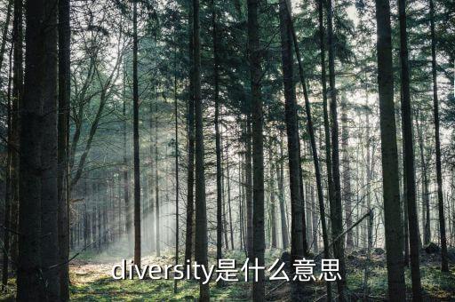 什么是中國特色大國外交，就中國的外交是什么特點(diǎn)