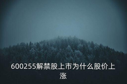 600255解禁股上市為什么股價(jià)上漲