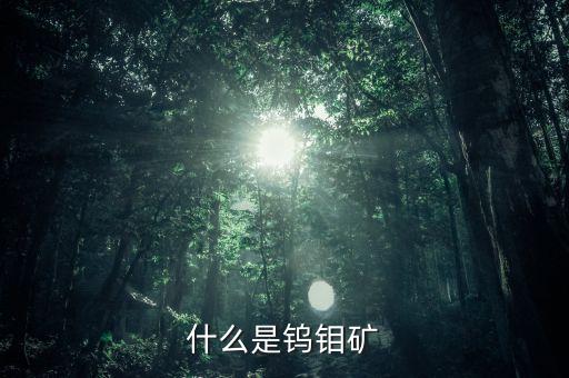 鎢礦是做什么的，鎢石是干什么用的