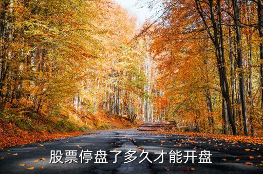股票封盤什么時候可以開盤，股票異常波動暫停交易后一般到幾點就開盤