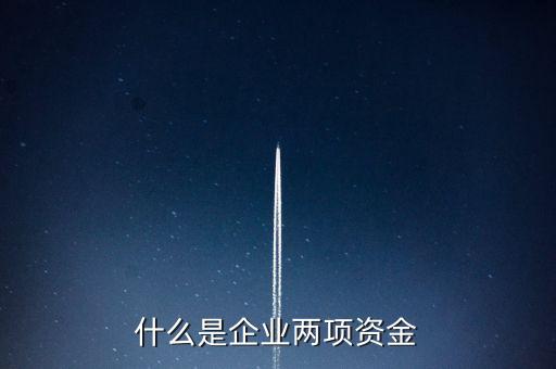什么是企業(yè)兩項(xiàng)資金