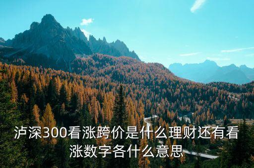 看漲跨價什么意思，理財 滬深300看漲跨價好不好