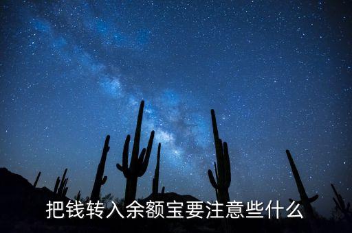 錢存余額寶要注意什么，把錢存在余額寶有風險嗎應該存多少才劃算