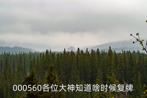 美盛文化什么時候復(fù)牌，000627估計什么時候復(fù)牌走勢如何有什么重大消息嗎