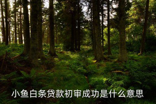 貸款初審?fù)ㄟ^什么意思，小魚白條貸款初審成功是什么意思