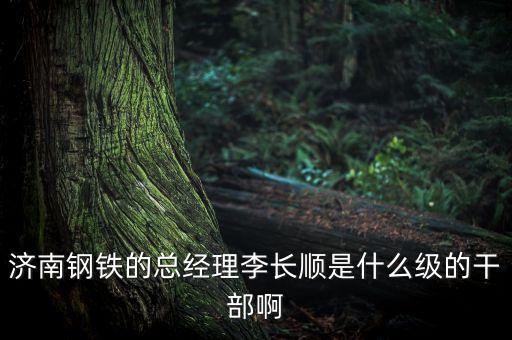 濟(jì)南鋼鐵的總經(jīng)理李長順是什么級(jí)的干部啊