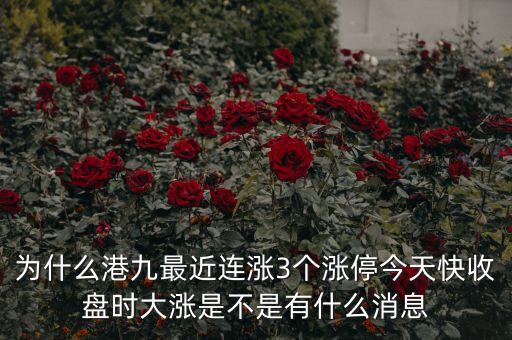 為什么港口股大漲，今天為什么港口股大漲