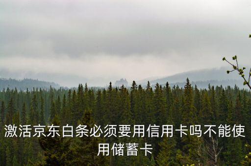 京東白條要什么銀行卡，京東打白條一定要信用卡嗎儲蓄卡不能用嗎