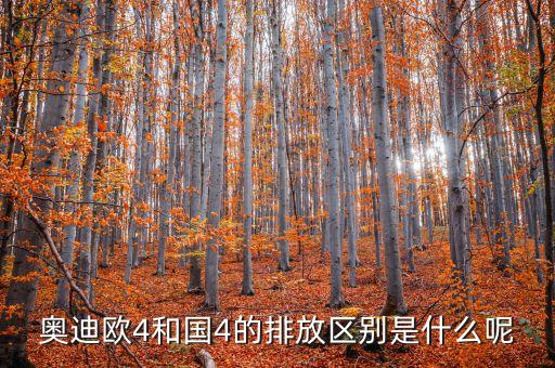奧迪歐4和國4的排放區(qū)別是什么呢