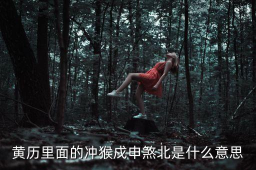 日歷中的沖和申是什么意思，黃歷中的正沖正沖庚午甲辰分別是什么意思