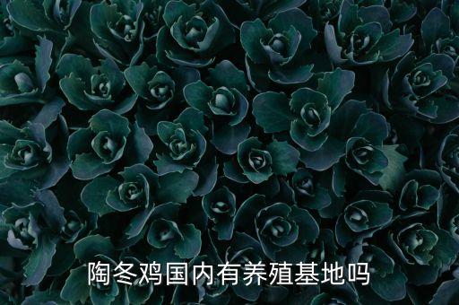 陶冬雞是什么，越南陶冬雞養(yǎng)殖這個雞苗到哪里買了它吃什么呢