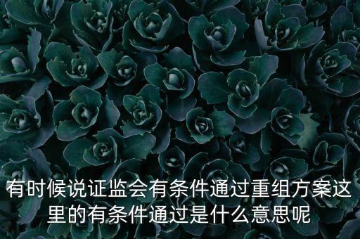 重組項目過會是什么意思，資產(chǎn)重組獲股東大會高票通過什么意思