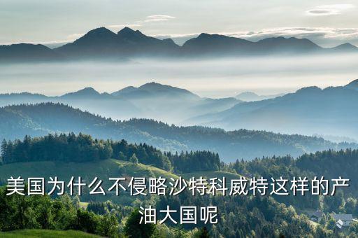 美國為什么不制裁沙特，美國為什么不侵略沙特科威特這樣的產(chǎn)油大國呢