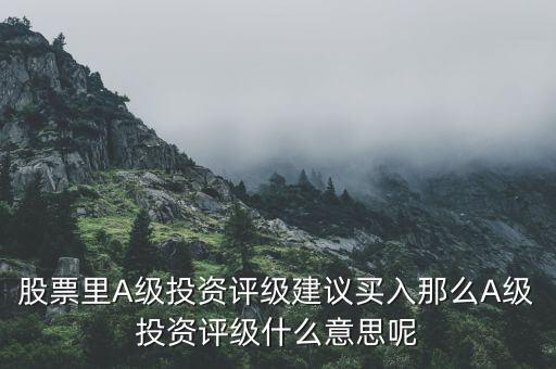 買入一a評級什么意思，維持買入一a評級是什么意思