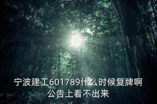 寧波建工601789什么時(shí)候復(fù)牌啊公告上看不出來(lái)