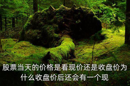 為什么到收盤后能知道有的票，為什么在12306看同一車次到一個(gè)地方顯示沒票到另一個(gè)地方就顯示