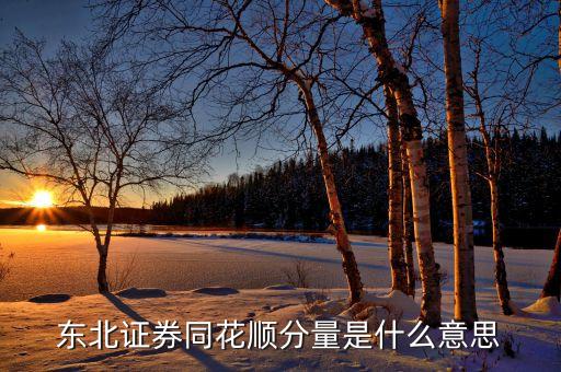 同花順的量是什么意思，手機軟件同花順股票右上角的量指的是什么